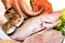 SeaFood02